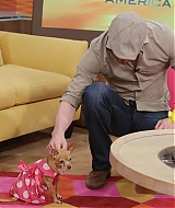 Filename=135.jpg
Filesize=1011KiB
Dimensions=2000x1470
Date added=Jul 17, 2020 135.jpg