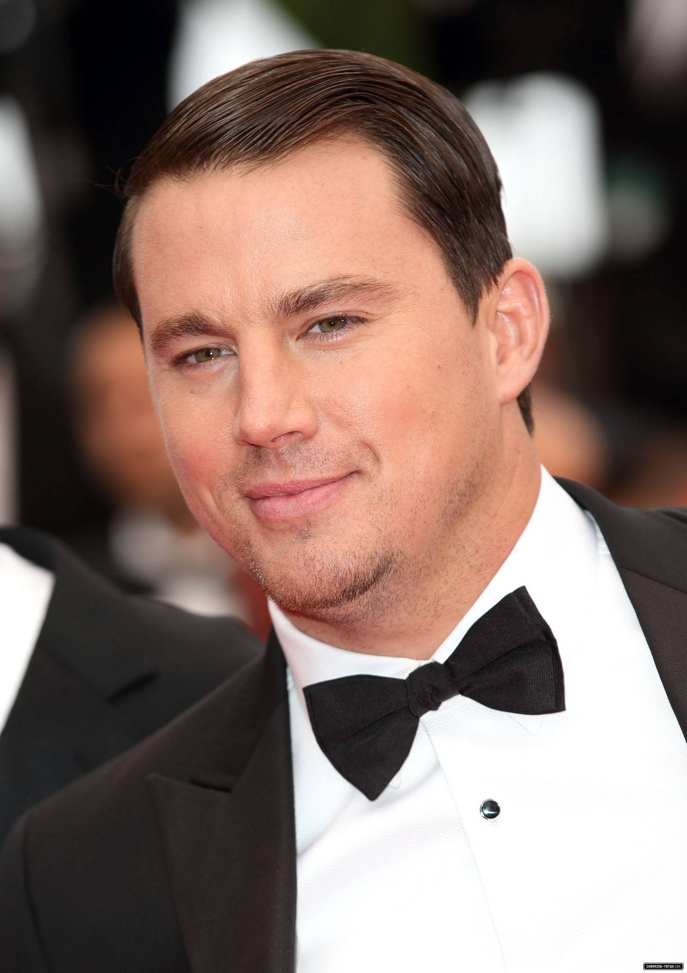 229.jpg
