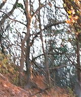 Filename=2895.jpg
Filesize=746KiB
Dimensions=1920x800
Date added=Dec 24, 2025 2895.jpg