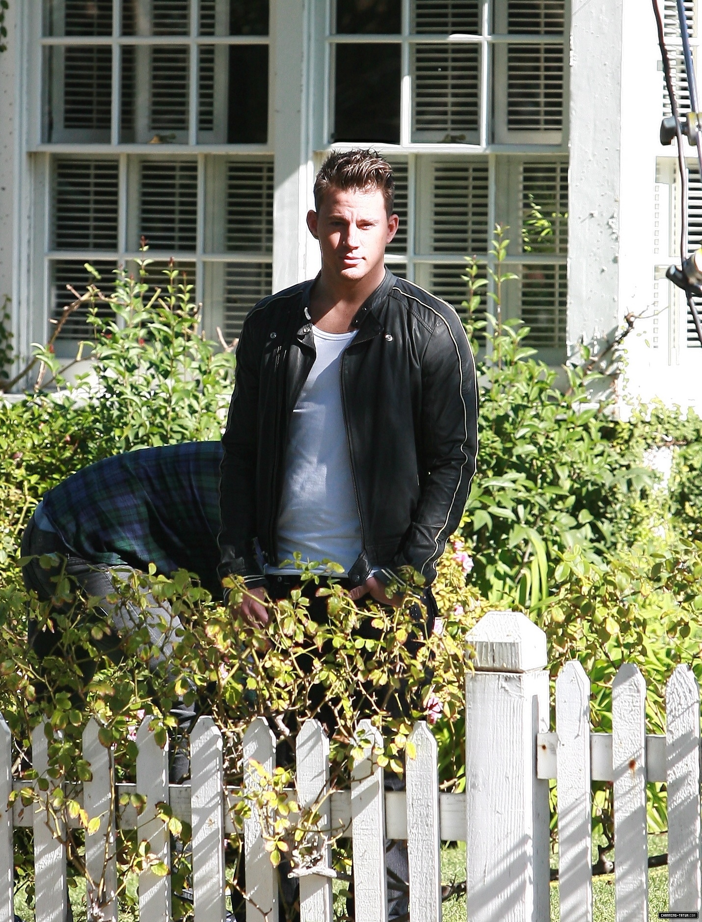 017.jpg