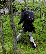 141.jpg