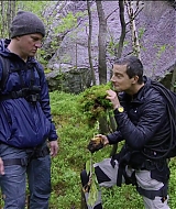194.jpg