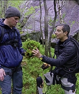 195.jpg