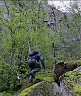 291.jpg